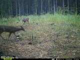  County Road 4103 - Photo 1