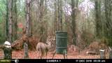  County Road 4103 - Photo 12