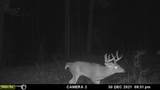  County Road 4103 - Photo 16