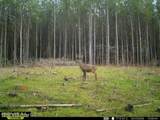  Co Rd 5005 - Photo 10