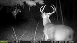  Co Rd 5005 - Photo 11