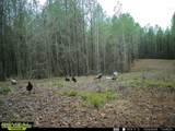  Co Rd 5005 - Photo 8