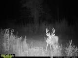  Co Rd 5005 - Photo 9
