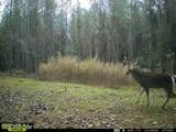  County Road 4102 - Photo 11