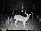 County Road 4102 - Photo 22