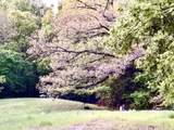 1250 Friendship East Road - Photo 49