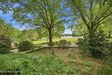 136 Swan Sea Lane - Photo 65