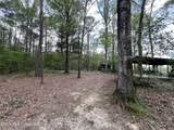 251 Copperhead Road - Photo 6