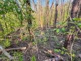  Dees Rd. Road - Photo 24