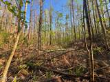  Dees Rd. Road - Photo 25