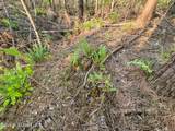  Dees Rd. Road - Photo 32