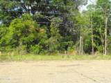  Terry Road - Photo 3