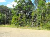  Terry Road - Photo 8