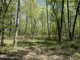  Seymour Road - Photo 98