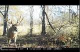 33598 Mississippi 18 - Photo 42