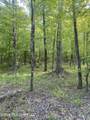 Tbd County Road 48 - Photo 16
