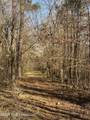 Tbd County Road 48 - Photo 3