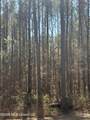 11330 Mississippi 429 - Photo 3