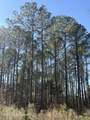 11330 Mississippi 429 - Photo 4