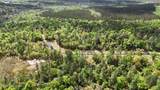 Lot 10 Pine Ridge Lane - Photo 12