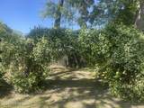 218 Park Street - Photo 21