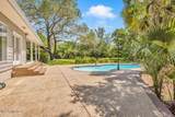 24071 Cuevas Delisle (A/B) Road - Photo 107