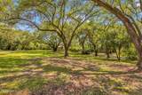 24071 Cuevas Delisle (A/B) Road - Photo 109