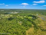 24071 Cuevas Delisle (A/B) Road - Photo 128