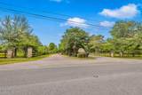 24071 Cuevas Delisle (A/B) Road - Photo 15
