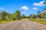 24071 Cuevas Delisle (A/B) Road - Photo 17