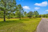 24071 Cuevas Delisle (A/B) Road - Photo 18