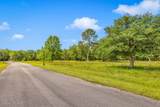 24071 Cuevas Delisle (A/B) Road - Photo 19