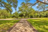 24071 Cuevas Delisle (A/B) Road - Photo 23