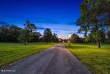 24071 Cuevas Delisle (A/B) Road - Photo 6