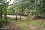 Pleasant Grove Road - Photo 12
