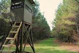  Pleasant Grove Road - Photo 7