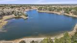  Timber Bluff Drive - Photo 3