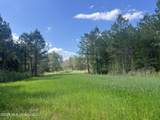 1479 Truesdale Road - Photo 3