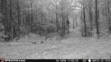 0 Mississippi 33 - Photo 11
