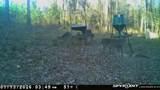 1024-1098 Milligan Spring Road - Photo 7