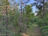  Mudline Road - Photo 1