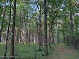  Mudline Road - Photo 13