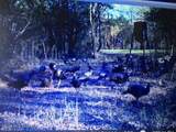  Mudline Road - Photo 19