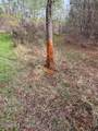  Mudline Road - Photo 22