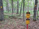 Mudline Road - Photo 4