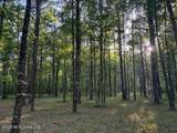  Mudline Road - Photo 9