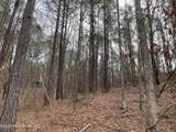 371 Low Water Lane - Photo 11