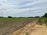  Old Jackson Road - Photo 11