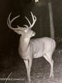 63001 U.S. 82 - Photo 10