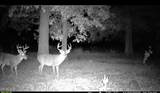 63001 U.S. 82 - Photo 4